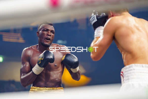 Boxer im Ring