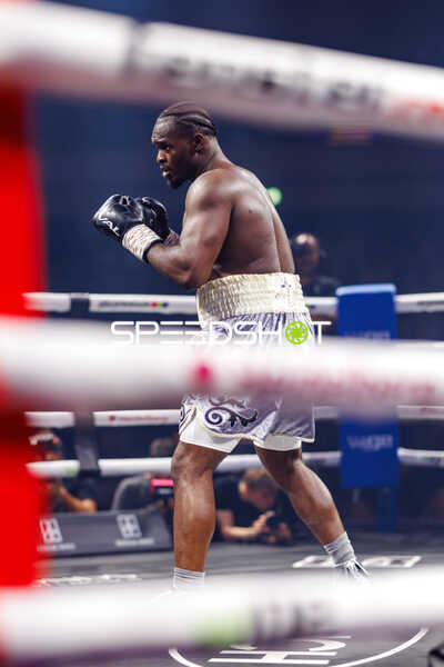 Profiboxer im Ring