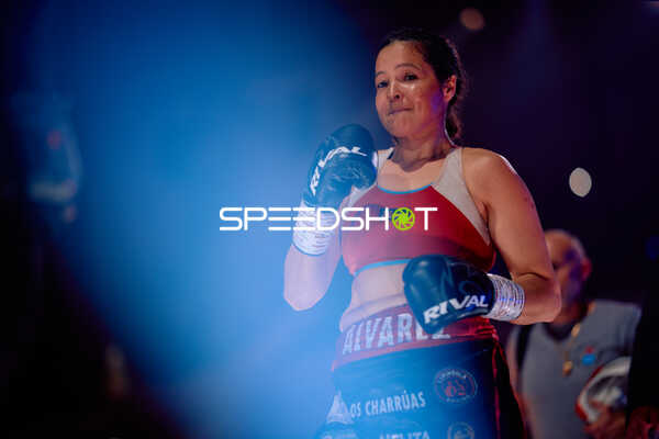 Boxerin in Ringside Zone
