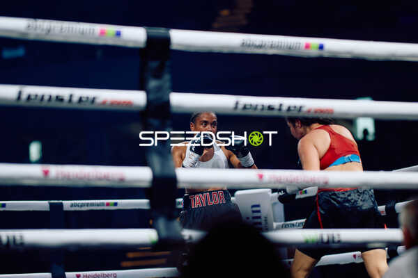 Boxer im Ringkampf