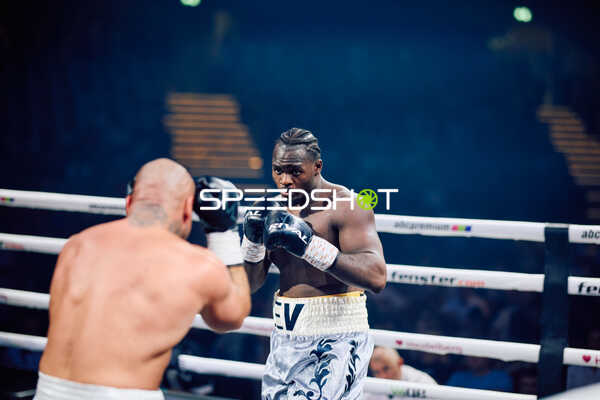 Boxer in Ringside Zone