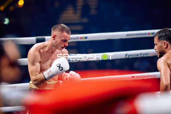 Boxer im Ring