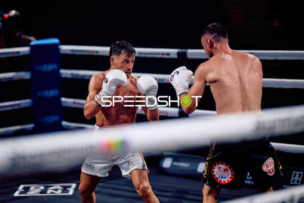 Boxer im Ring