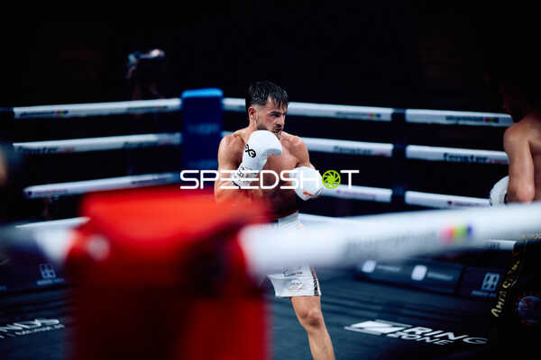 Boxer im Ring