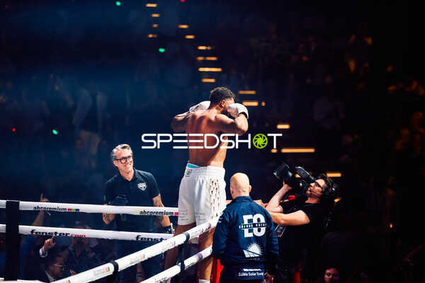 Boxer in Ringside Zone