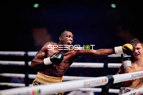Boxer im Ring