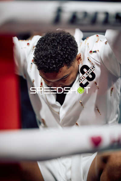 Boxer in Ringside Zone