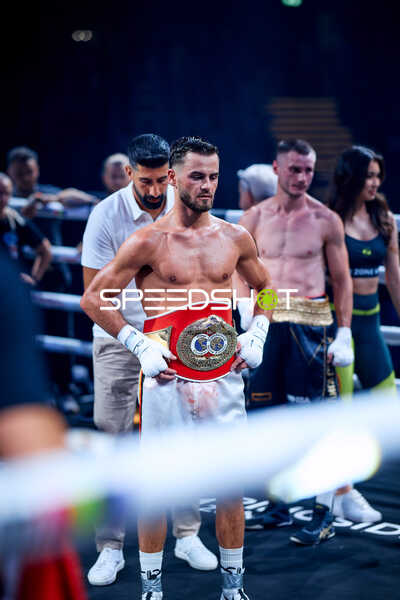 Boxer in Ringside Zone