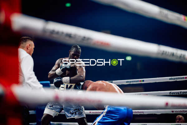 Boxer im Ringkampf