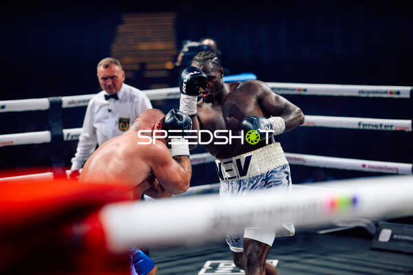 Boxer im Ringkampf