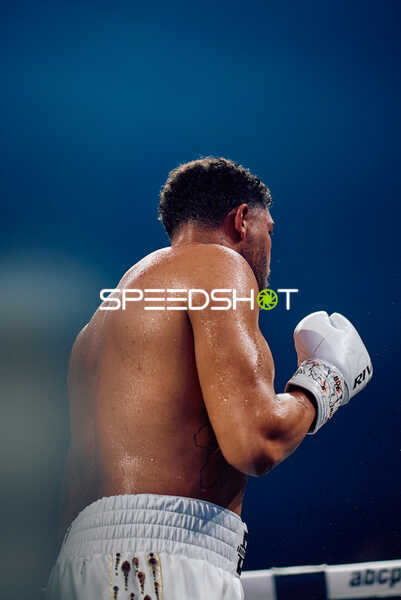 Boxer in Ringside Zone