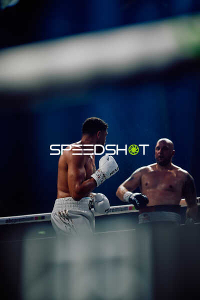 Boxer im Ringkampf