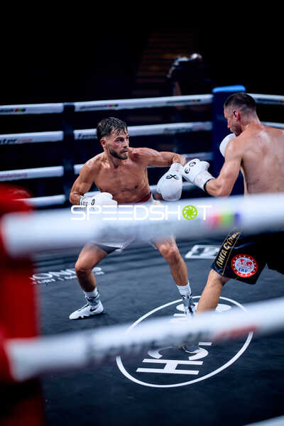 Boxer in Ringside Zone