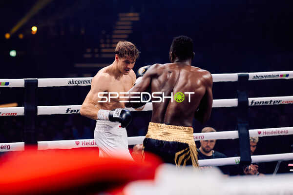 Boxer im Ringkampf