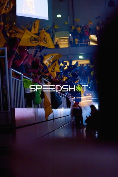 Fans schwenken Fahnen