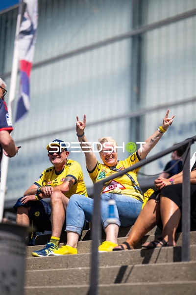 Fans der Rhein Neckar Löwen jubeln