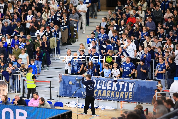 Fans der MLP Academics Heidelberg im SNP-Dome