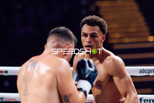 Boxer in Ringside Zone