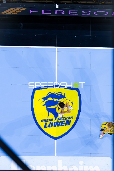 Rhein-Neckar Löwen in Position