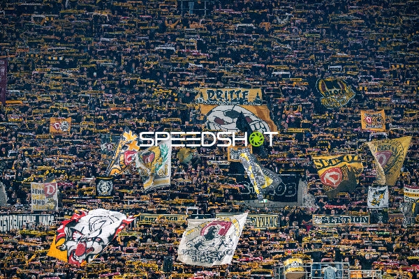 Fans von SG Dynamo Dresden im Stadion