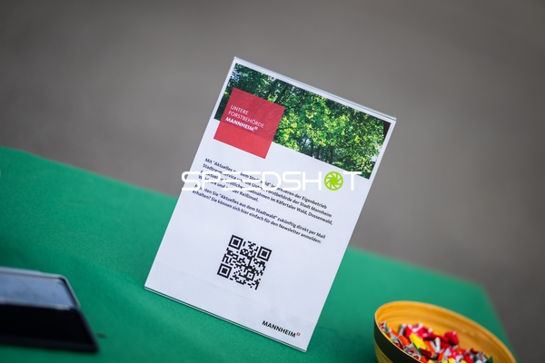 Spielfeld-Impression