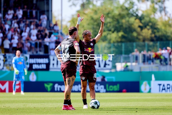 Emotion, Reaktion, Teamgeist