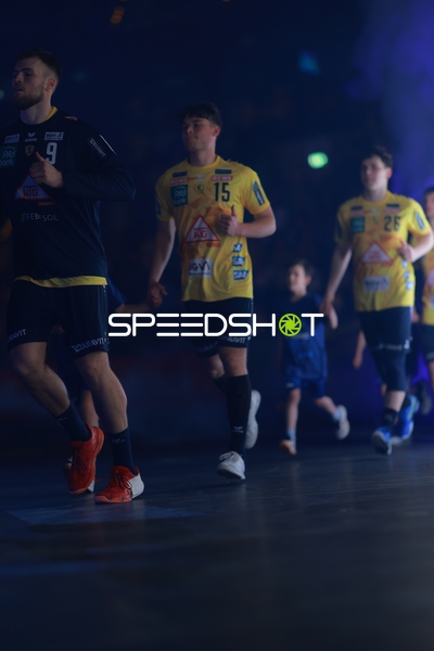 Einlauf der Rhein-Neckar Löwen