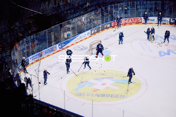 Aufwärmen der Adler Mannheim