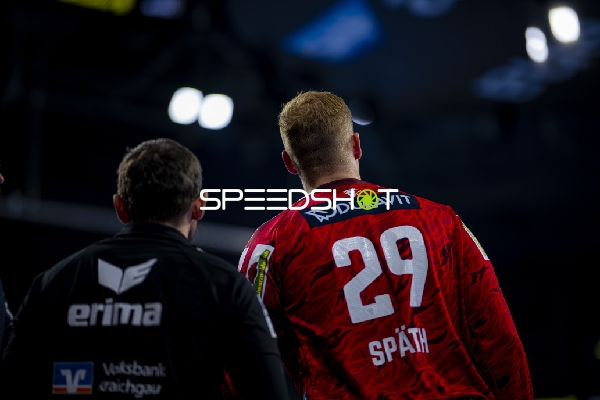 Torwart David Späth (29; Rhein Neckar Löwen) im Fokus