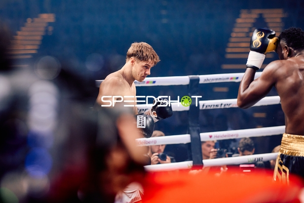 Boxer in Ringside Zone