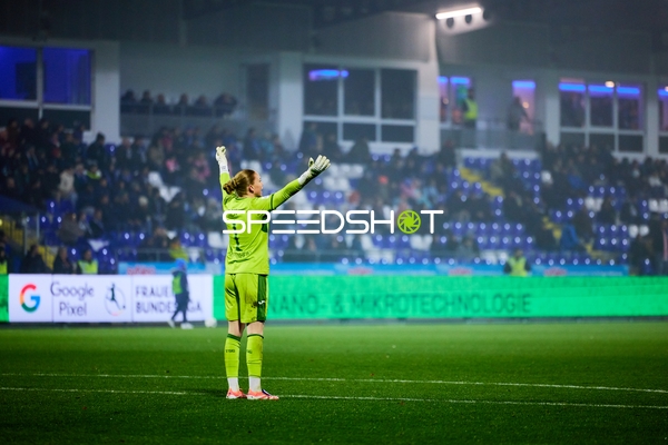 Torwart mit erhobenen Armen