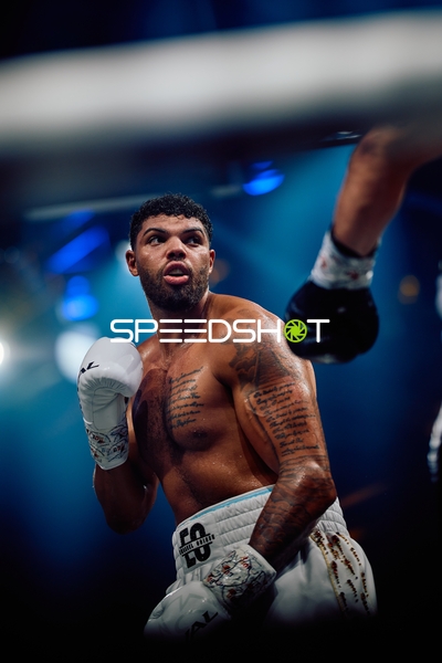 Boxer in Ringside Zone