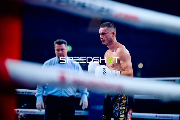 Boxer in Ringside Zone