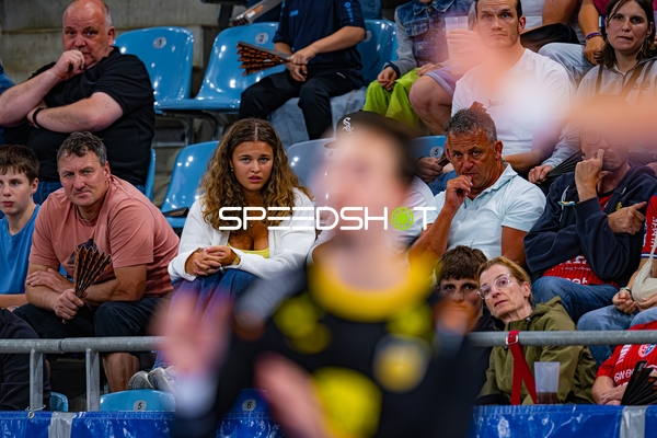 Zuschauer bei Handballspiel