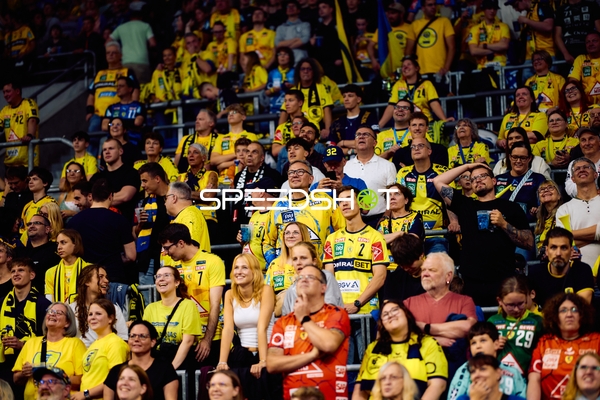 Fans der Rhein-Neckar Löwen