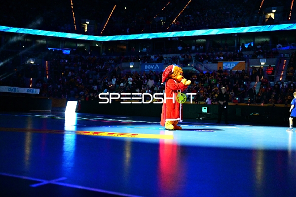 Fan-Szene in der SAP Arena