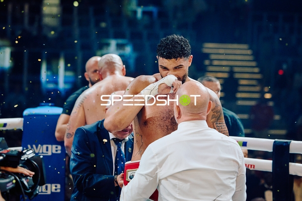 Boxer in Ringside Zone