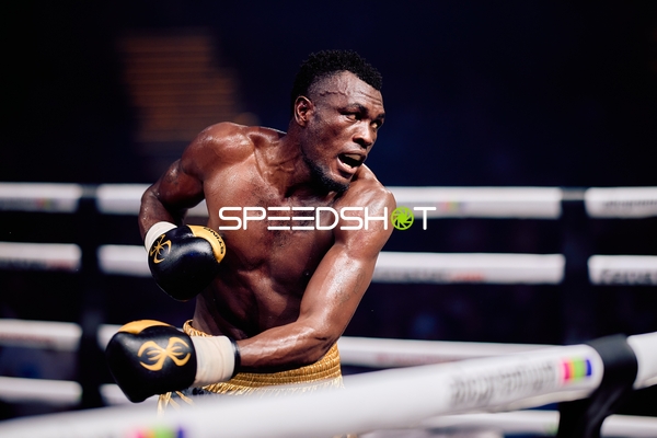 Boxer in Ringside Zone