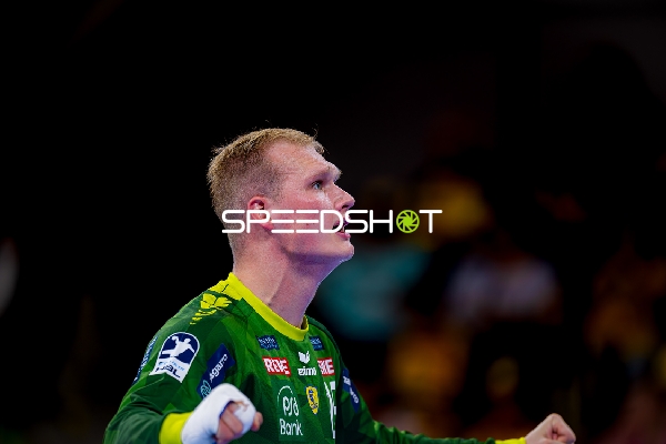 Torwart David Späth (29; Rhein Neckar Löwen) in Aktion