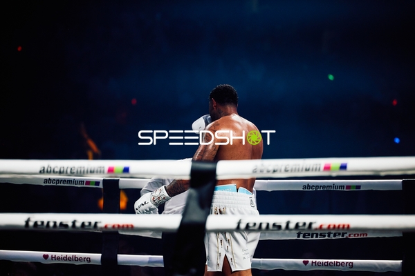 Boxer in Ringside Zone