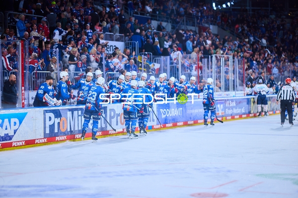 Adler Mannheim auf der Spielerbank