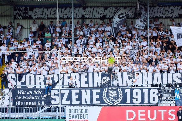Fans feiern im Stadion