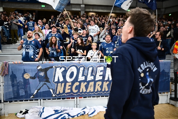 Fans der MLP Academics Heidelberg feuern an