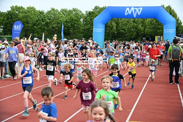 TVE Sommerlauf Edingen 2025 Start
