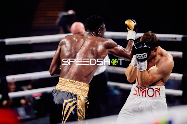 Boxer in Ringside Zone