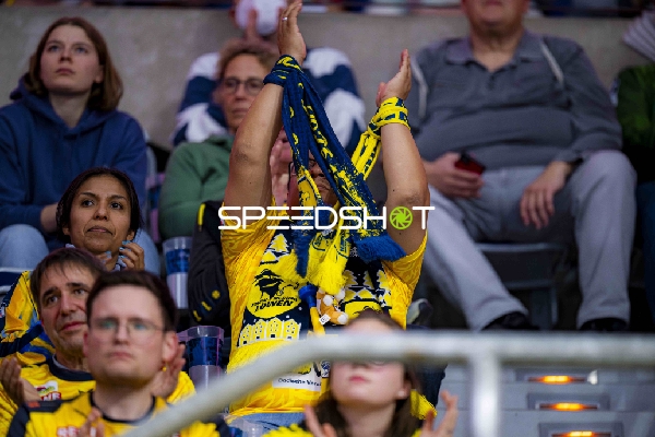 Fans in gelben Trikots feiern