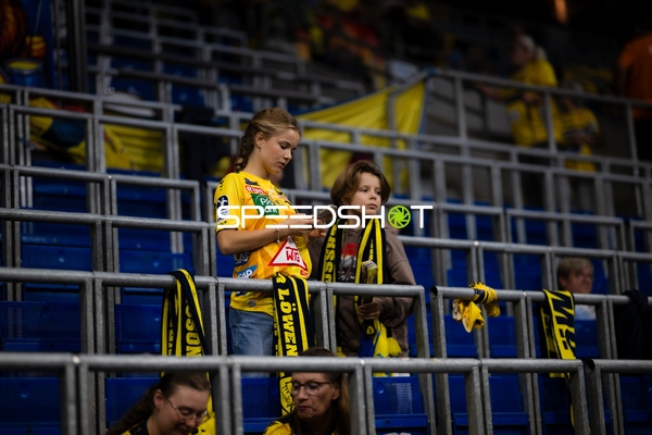 Fans der Rhein Neckar Löwen