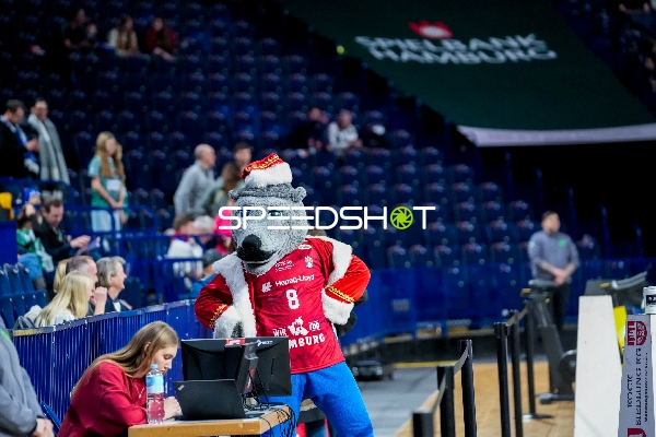 Maskottchen des HSV Hamburg