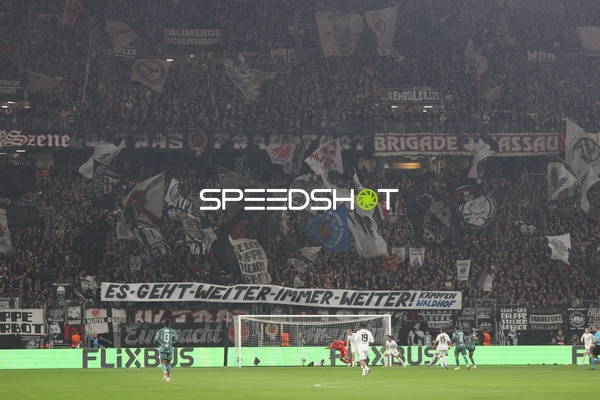 Begeisterte Fans im Stadion