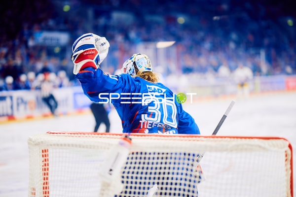 Jubelnder Torwart der Adler Mannheim